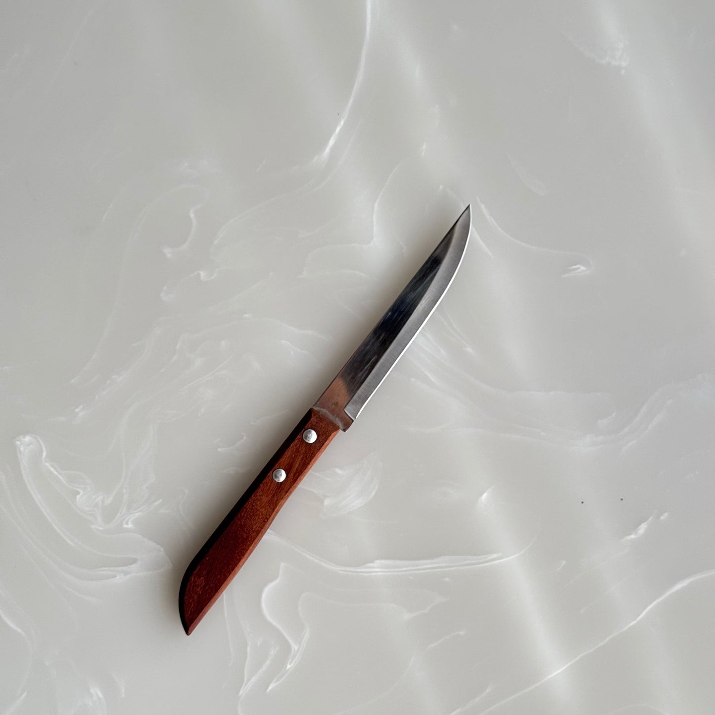 Everyday Stainless Steel Knife