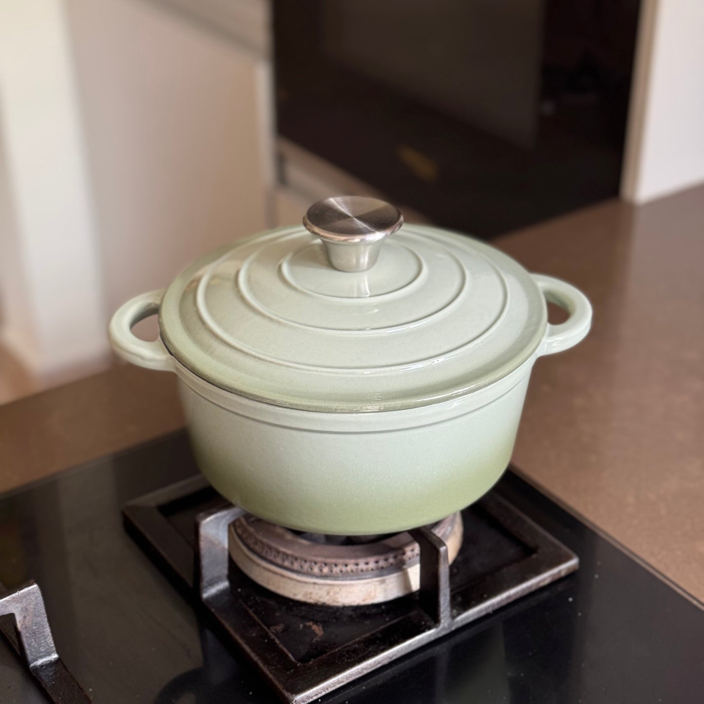 Circular Enamel Cast Iron Dutch Oven with Lid | Casserole Pot | Green and Dark Green