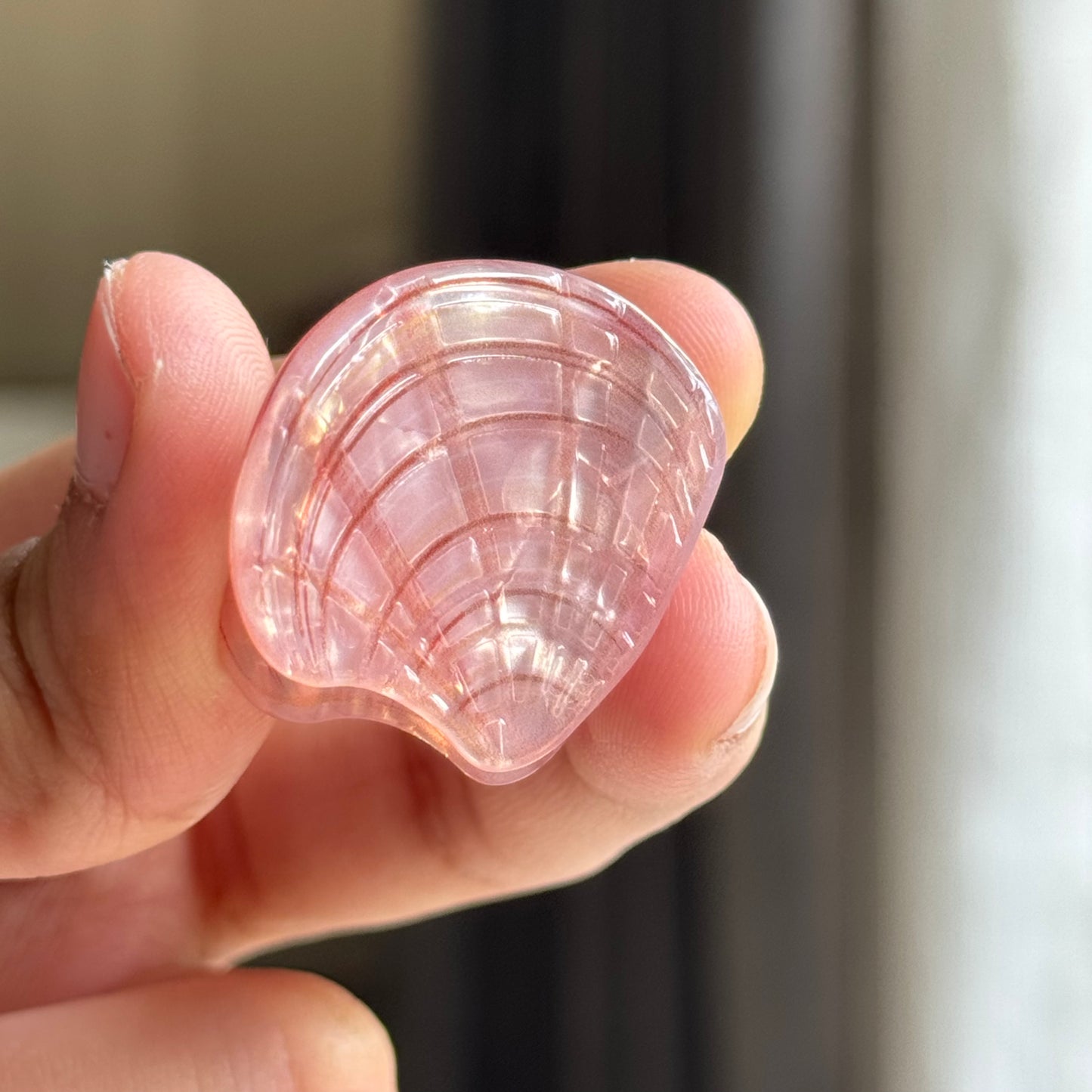 Sea Shells Mini clips 🐚 (Buy 4 for ₹999)