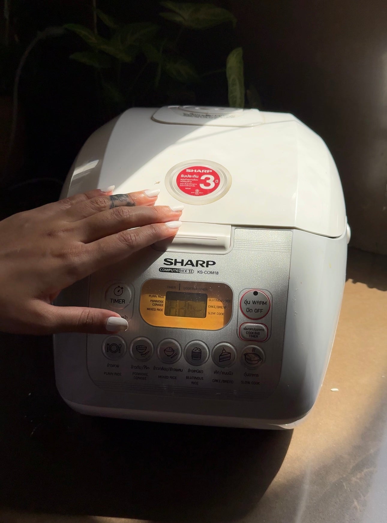 Rice Cooker