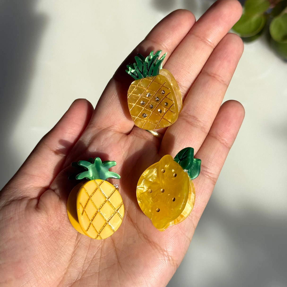 Fruits n Veggies mini clips