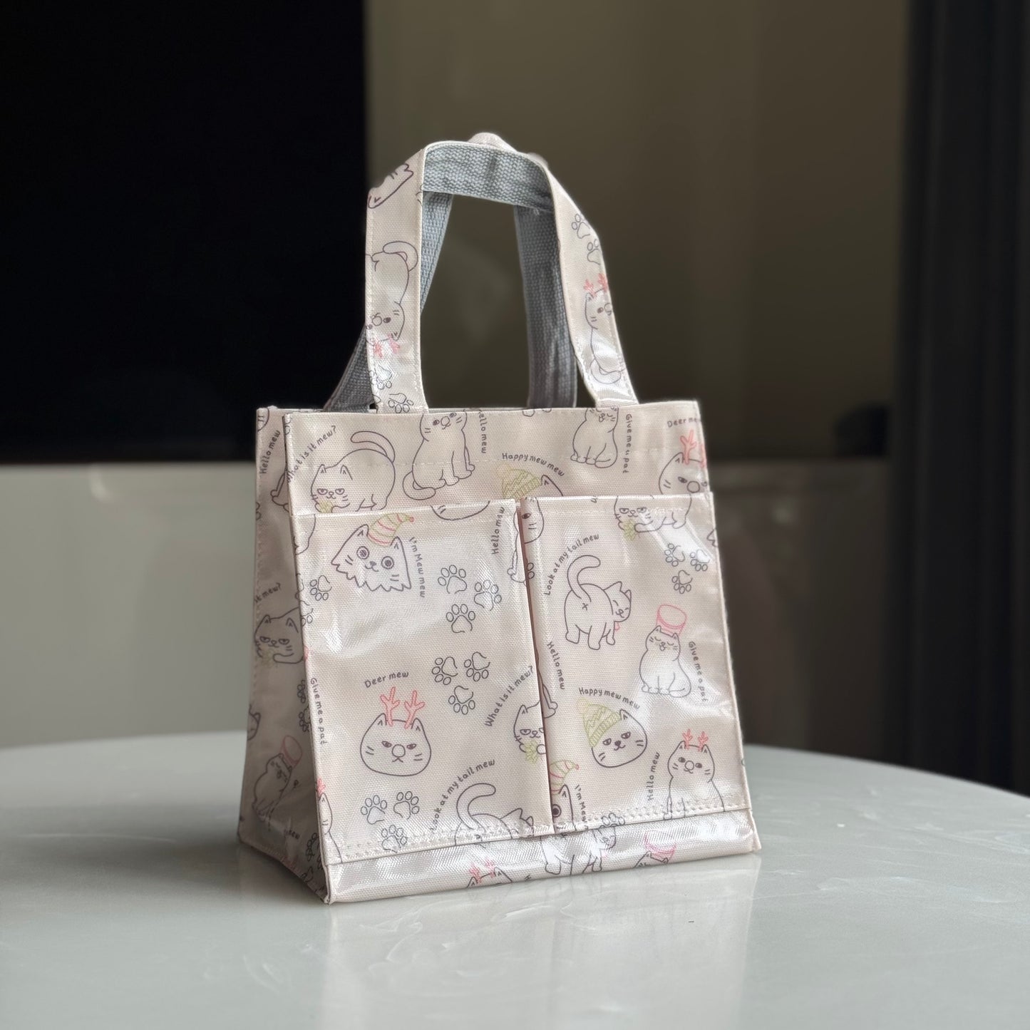 Mini Lunch Bag