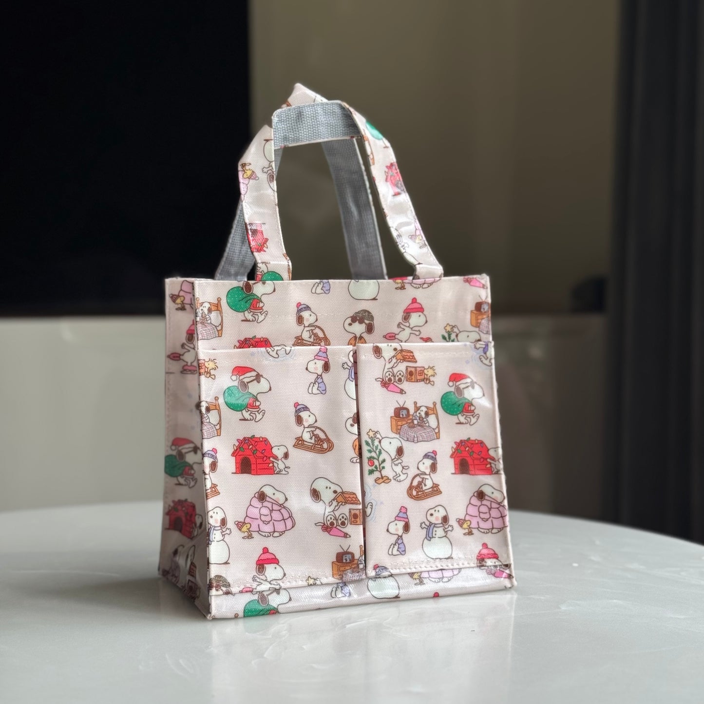 Mini Lunch Bag