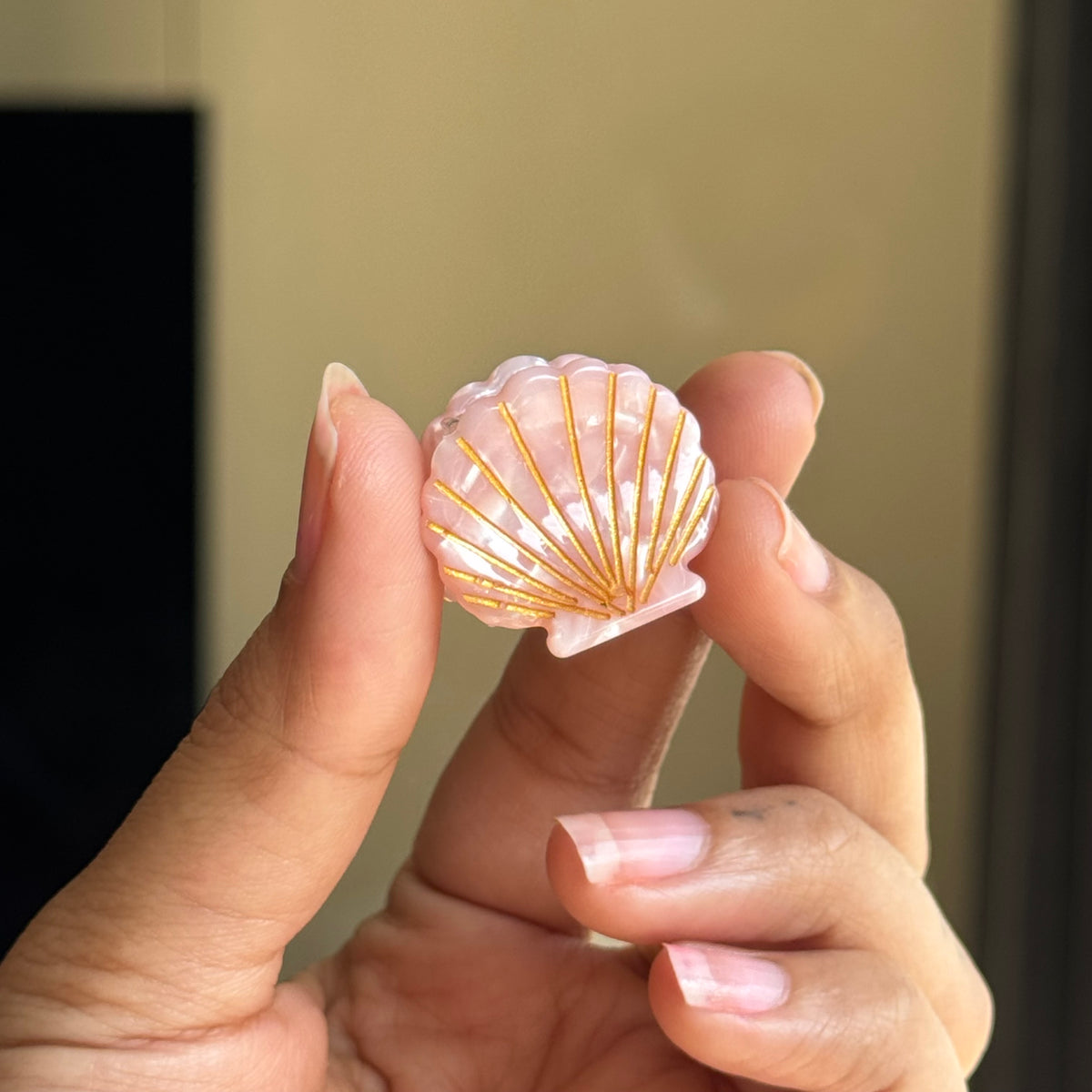 Small Shell Clips Sea Shells Mini clips 🐚 (Buy 4 for ₹999) – The Classy Kitchen
