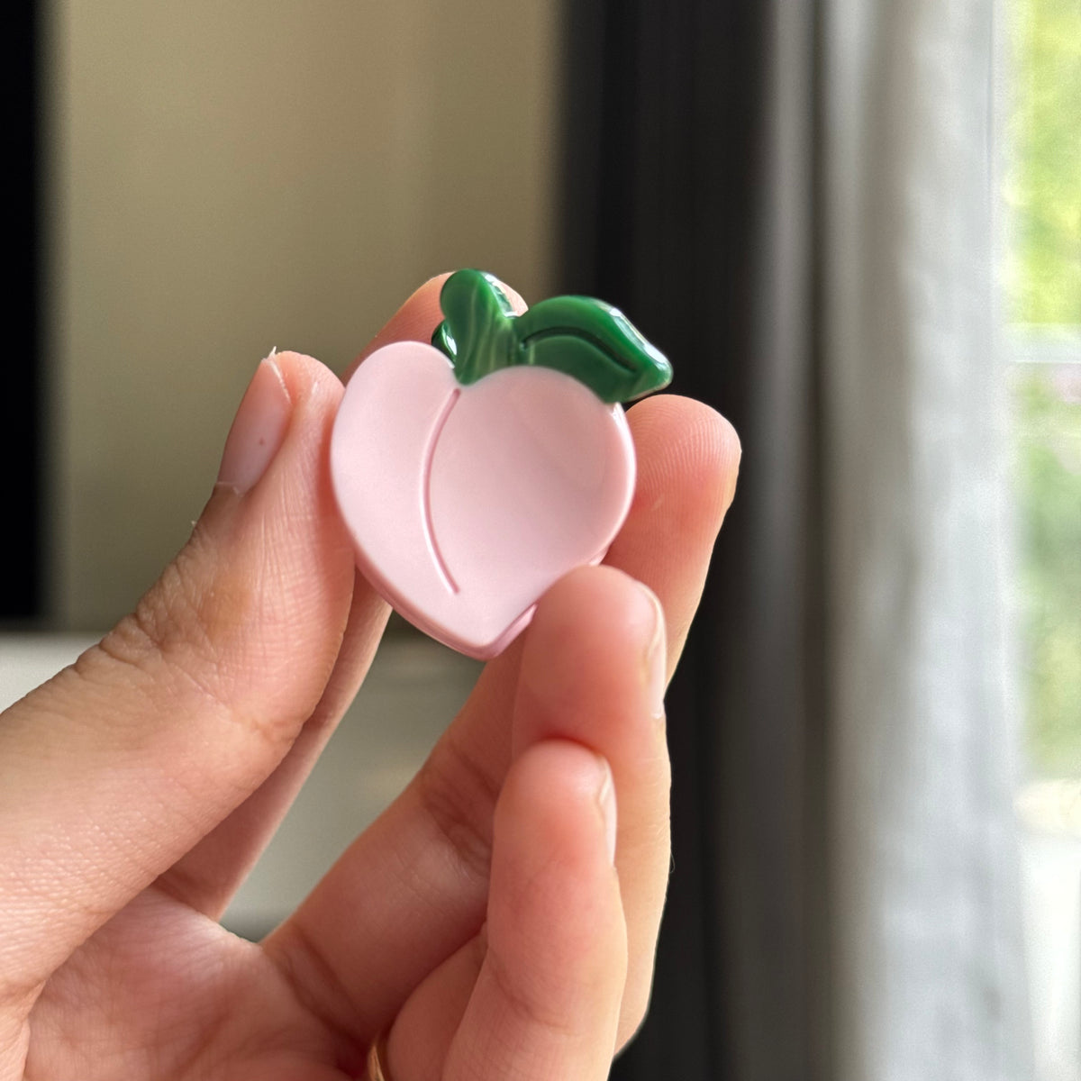 Fruits n Veggies mini clips